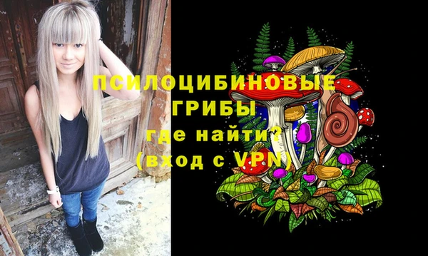 эйфоретик Аркадак