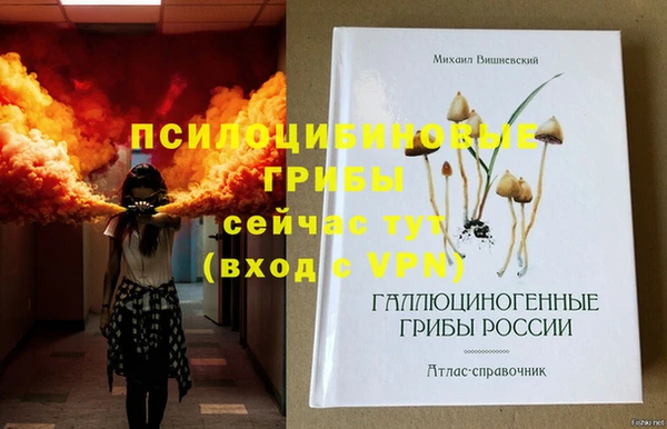 дживик Алзамай