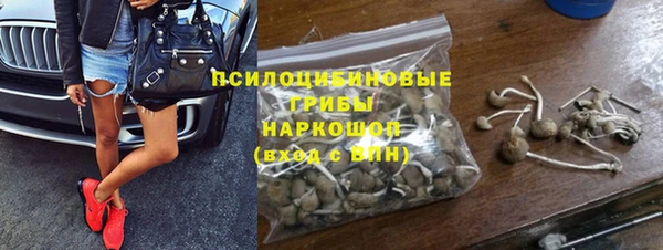 прущие крисы Арсеньев