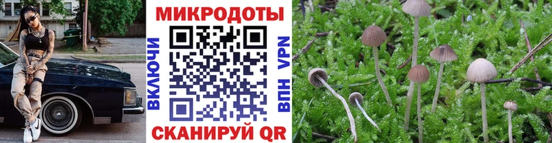 Псилоцибиновые грибы Psilocybe Унеча